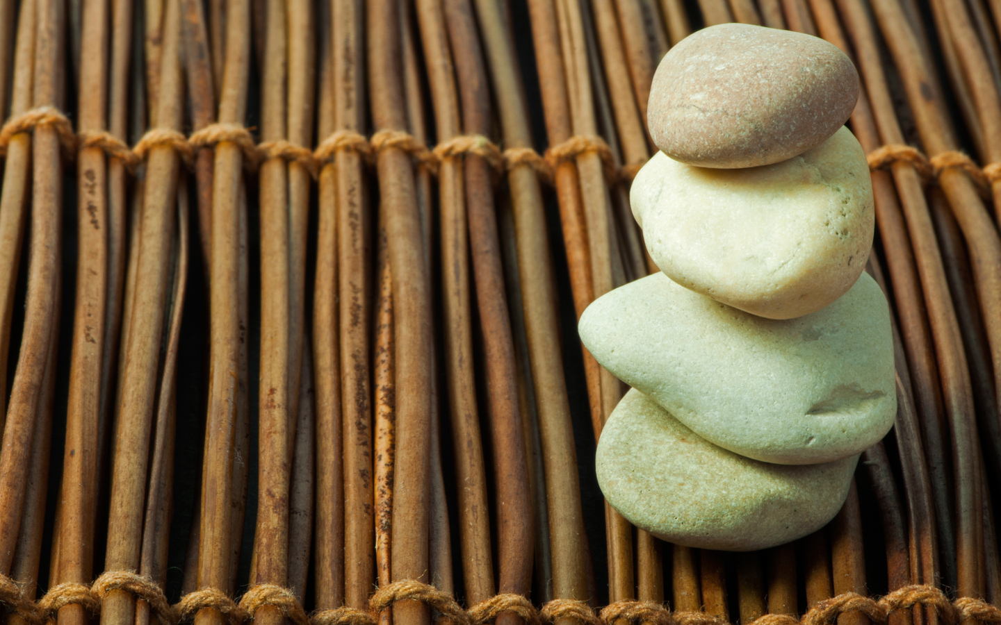 Vegging Out Wellness